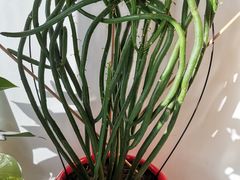 -好利来(马家堡店)