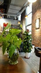 -美格丝M.G.S Hair Salon