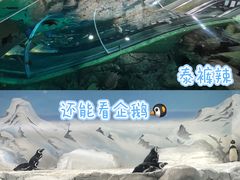 -上海海洋水族馆