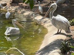 -石家庄市动物园