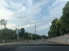 -老幺泉水鸡