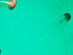 -沈阳海洋探索中心