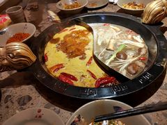 -渝大狮毛肚老火锅(文峰城市广场店)