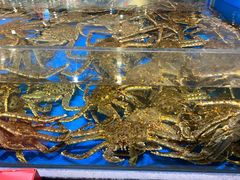 -神洲四海大酒楼(王府井澳门中心店)