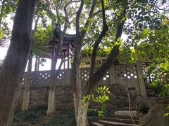 -瀛洲公园