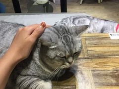 -小时光咖啡馆(开森度假森林店)
