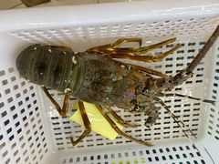 -覃记海鲜美食餐厅