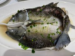 清蒸鱼-凤城酒家(环市西路店)