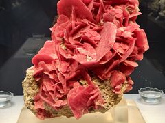 -湖南省地质博物馆