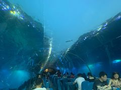-海棠湾洲际-涛·海底餐厅·美人鱼·自助餐·海底隧道