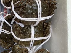 -黄记大闸蟹专卖店·活蟹·醉蟹