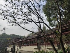 -重庆彩云湖湿地公园