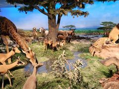 -国家自然博物馆