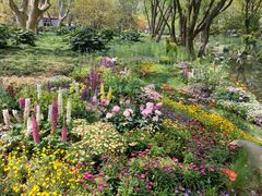 -上海共青森林公园