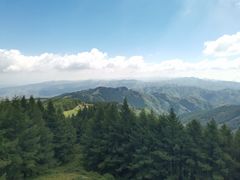 -苏木山森林公园