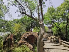 -灵岩山风景区