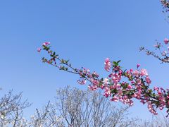 -幕燕滨江·长江观音景区