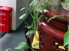 -同仁堂健康中医馆(新源南路店)