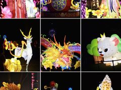 -武汉园博园(武汉自然博物馆)