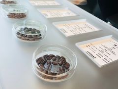 -LOOOAD COFFEE进度条(D9街区店)