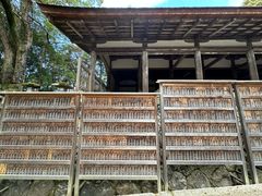-奈良公园