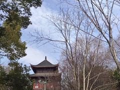 -堤角公园