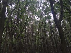 -同里国家湿地公园