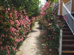 -武汉紫薇都市田园