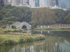 -南宁南湖公园