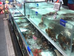 水产区-盒马鲜生(新都心店)