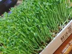 -金穗园·砂锅粥.醉鸡煲火锅(长寿路店)