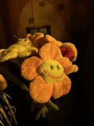 点击看大图 -疯狂冒险家-亲子密室-东坝店(金隅嘉品店)