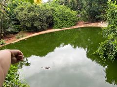 -海南热带野生动植物园