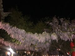 -陀岗美食·云南藏式特色餐厅