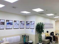-美联众合动物医院·24h转诊中心