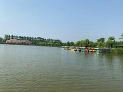 -上海长兴岛郊野公园