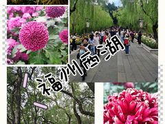 -西湖公园(鼓楼区)