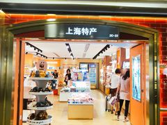 -上海浦东国际机场-T2航站楼