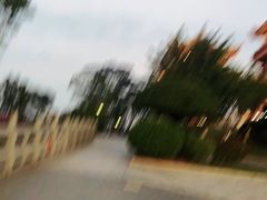 -仙人山公园