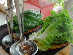 -蘑统田下·野生菌火锅