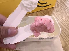 -野人先生Gelato(上海长宁龙之梦店)