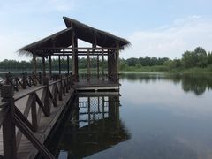 -溱湖国家湿地公园