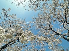 -龙美术馆(西岸馆)