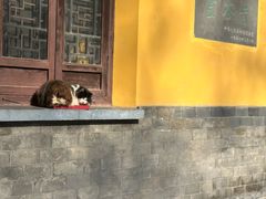 -灵谷景区