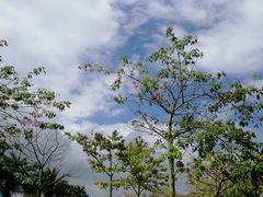 -亚龙湾中心广场
