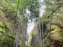 -崀山风景名胜区