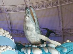 -烟台海昌鲸鲨海洋公园