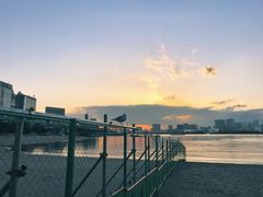 -台场海滨公园船码头