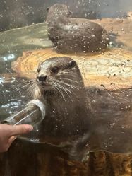 -Zoolung Zoolung动物主题公园(海信广场店)