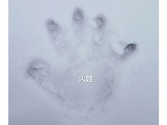 -太子岭滑雪场
